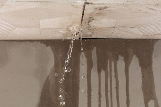 Professional Structural Drying technician working in Milford, NJ